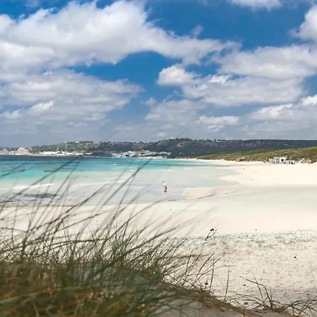 Alchimia By Amarena Collection Daire *