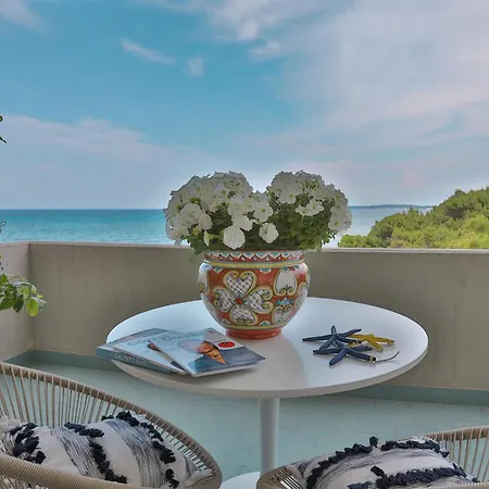 Alchimia By Amarena Collection Gallipoli