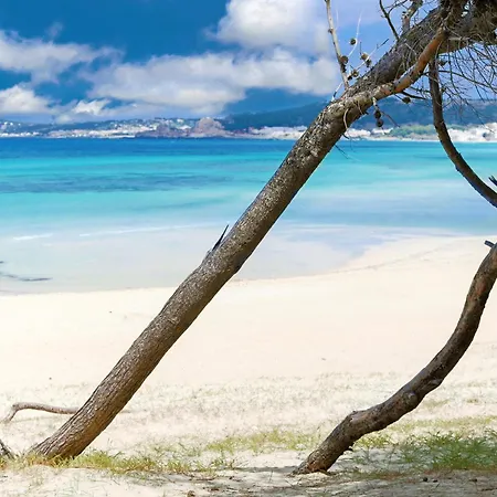 Alchimia By Amarena Collection Appartement *