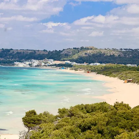 Alchimia By Amarena Collection