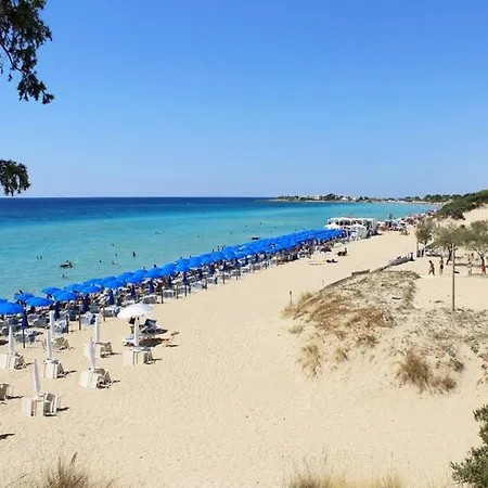 Alchimia By Amarena Collection Appartement