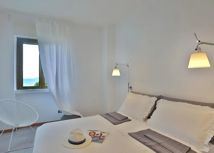 Alchimia By Amarena Collection Appartement