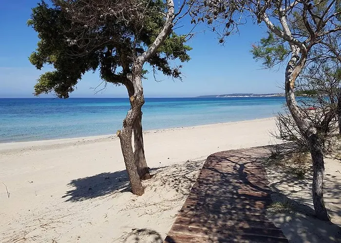 Alchimia By Amarena Collection Apartment *