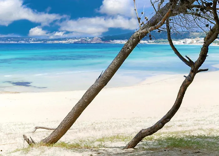 Alchimia By Amarena Collection Appartement *