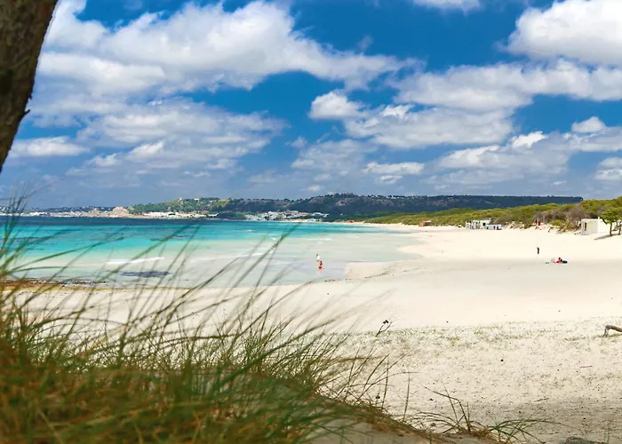 Alchimia By Amarena Collection Appartement Gallipoli