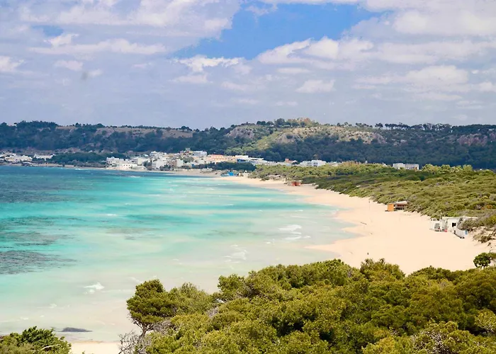 Alchimia By Amarena Collection