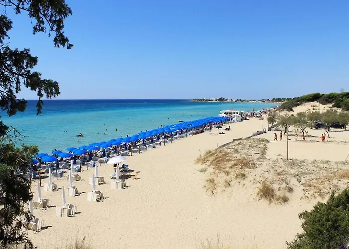 Alchimia By Amarena Collection Apartment